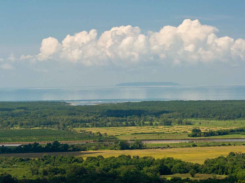 0 bed Lot/Land For Sale in Ojochal,  - 1